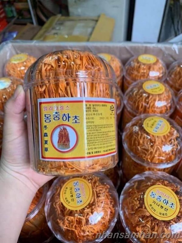 Hoa Đông Trùng Hạ Thảo - Dạng sợi (45g)